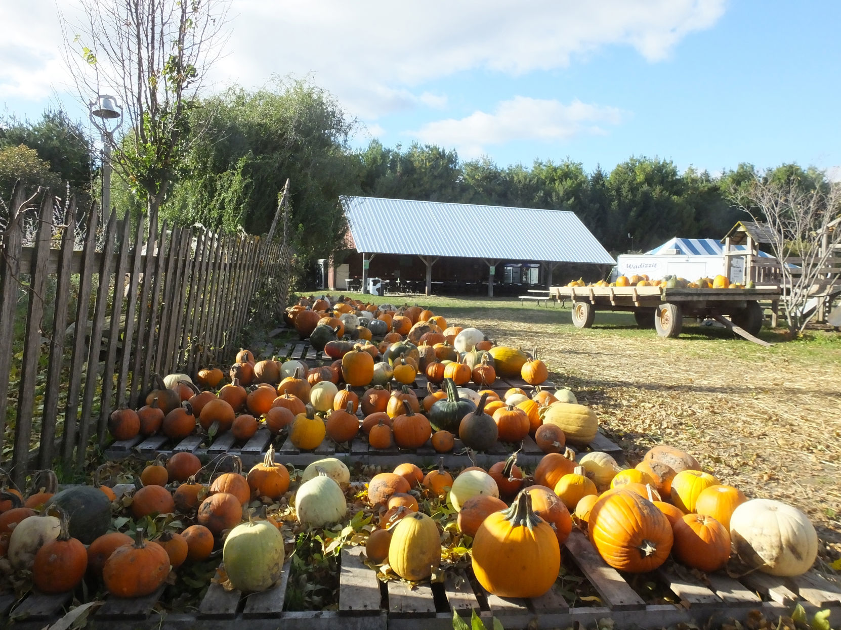 102419-sauk-news-fall